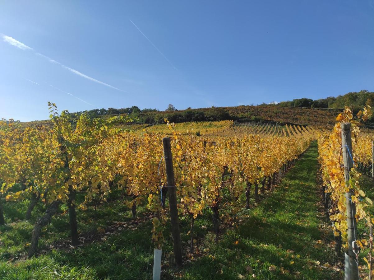 Du Florival Chalet Soultz-Haut-Rhin